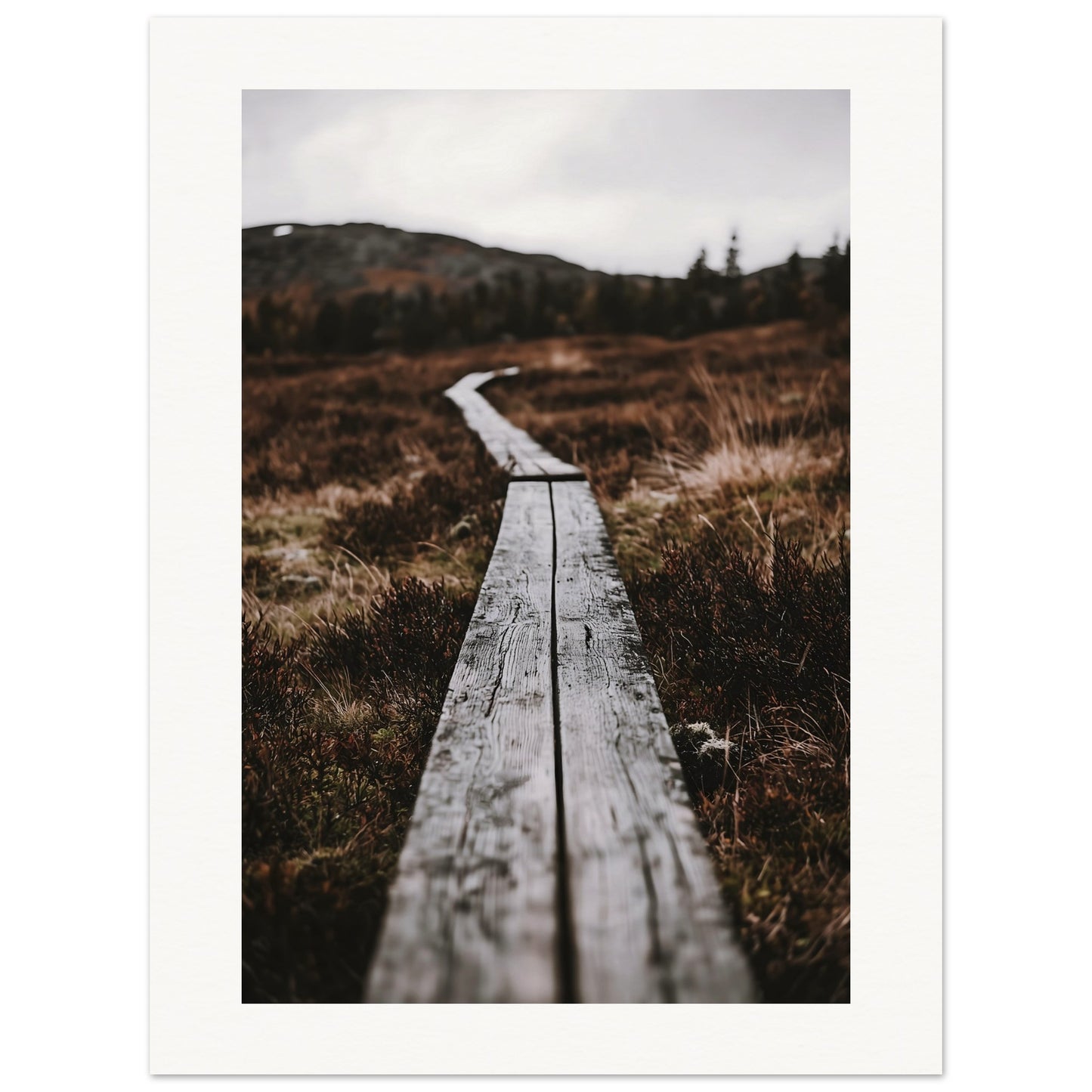 Plakat av planker langs tursti